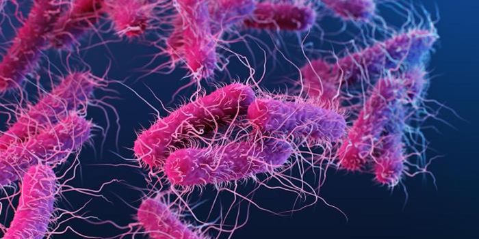 How Diet & Gut Microbes Can Combine to Cause Depression