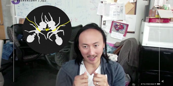 Why You Can't Easily Drown Fire Ants