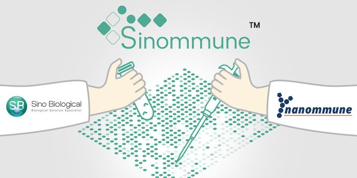 Sino Biological Focuses on Serological Studies of COVID-19