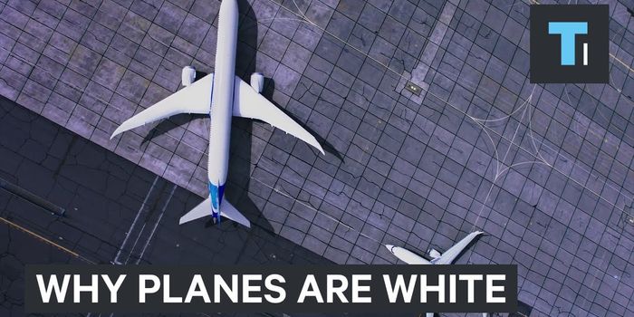 Most Airplanes Are White, and Here's Why