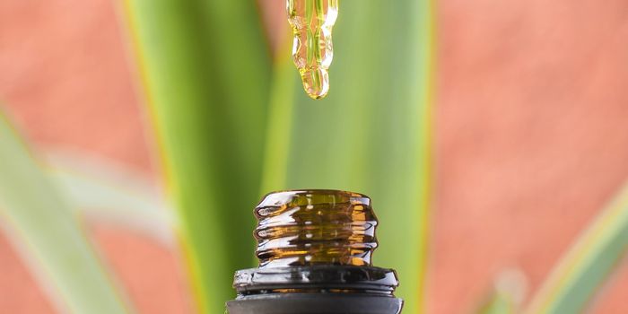 THC & ASD: A Crucial Contributor to Symptom Alleviation