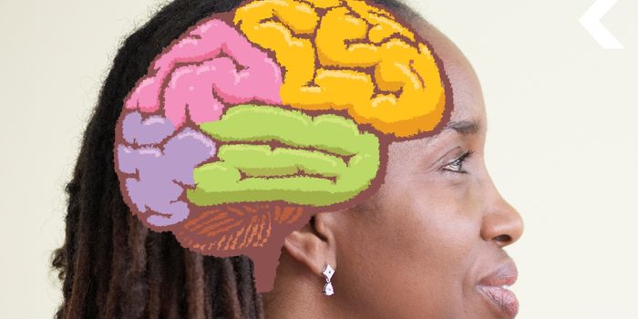 Women's Brains are Never the Same After Giving Birth