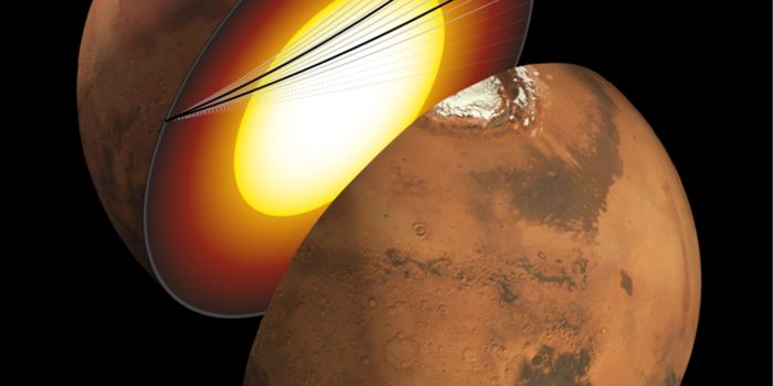 Martian Seismic Waves Observed in Historic First