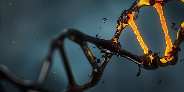 Could we be allergic to CRISPR?