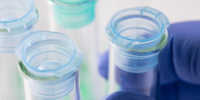 Drug Combination May Combat Deadly Drug-Resistant Fungus