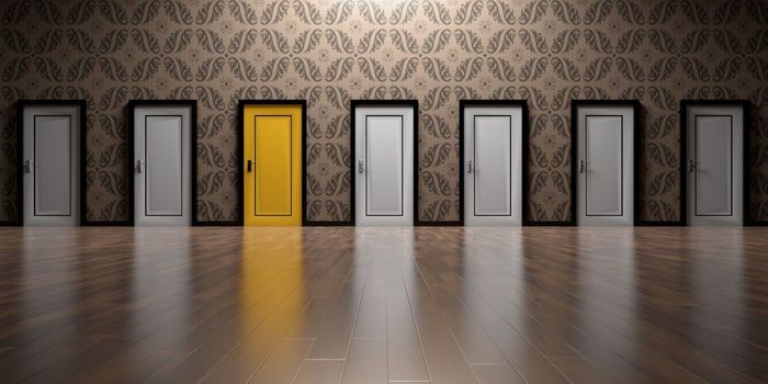 High-potency Cannabis Impacts Memory, but not Decision-Making