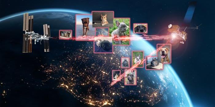 Astronauts Submit Pet Images for Space Laser Communication Demonstration