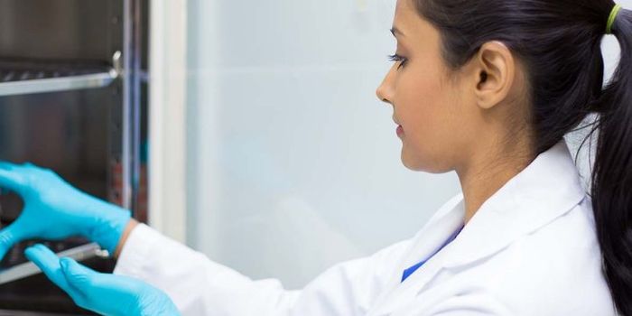 What's Killing My Cell Cultures? Troubleshooting Cell Growth Issues