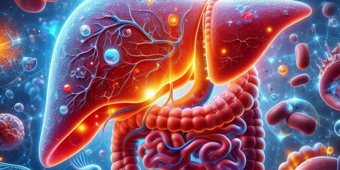 Are Alcohol-Dependent Adults who Use Cannabis Are Less Likely to Develop Liver Disease?