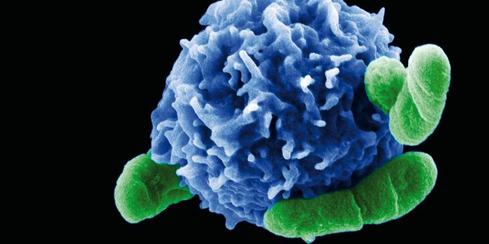 Protective Autophagy in Regulatory T Cells