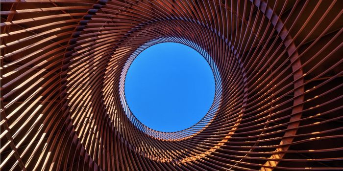 Perfect Cellular Origami is Discovered in a Protist