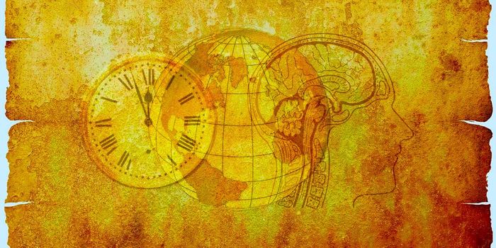 Researchers Reverse Advanced Alzheimer's in Mice