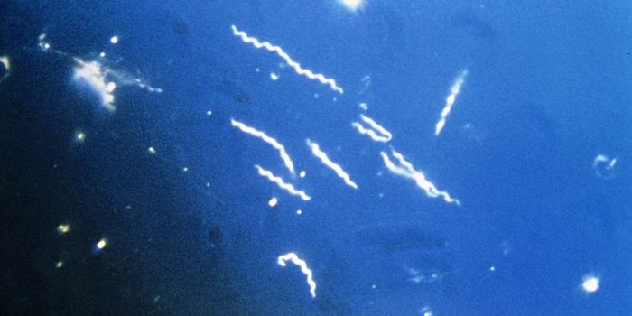 New Diagnostic Test for Lyme Disease