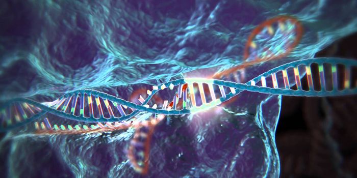 For the First Time: CRISPR for RNA