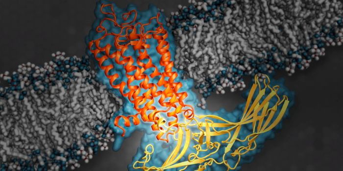 Photoaffinity Probe Developed to Monitor Endogenous Cannabinoid Receptor 2 Expression and Ligand Engagement