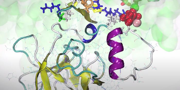 Similarities Between Two Proteins May Impair One's Activity