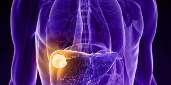 Virus Causes Liver Cancer