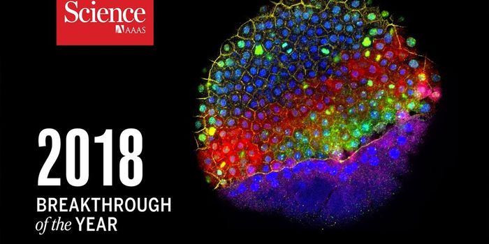 Science Magazine's Biggest Breakthroughs of 2018