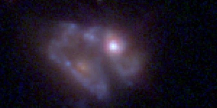 Why Do Some Galaxies Stop Producing Stars?