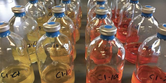 Some Microbes May Protect the Gut From Chemo's Harmful Effects