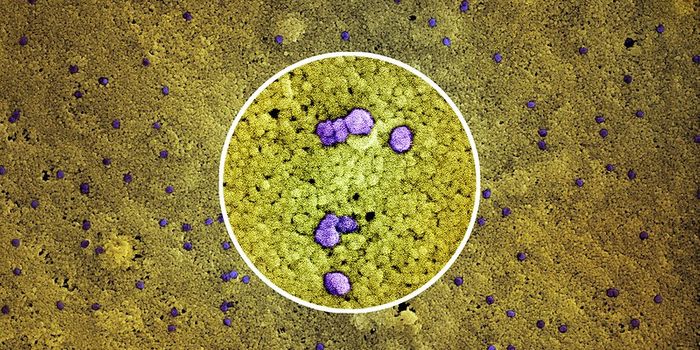 New Insights Into How SARS-CoV-2 Uses Host Cells to Enhance Infectiveness