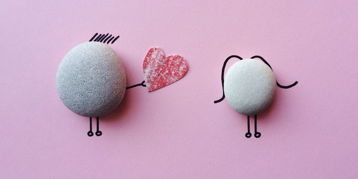 "Contagious" Aging Halted for Organ Recipients