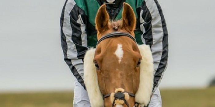 Jockey Will Donate Brain for CTE Research