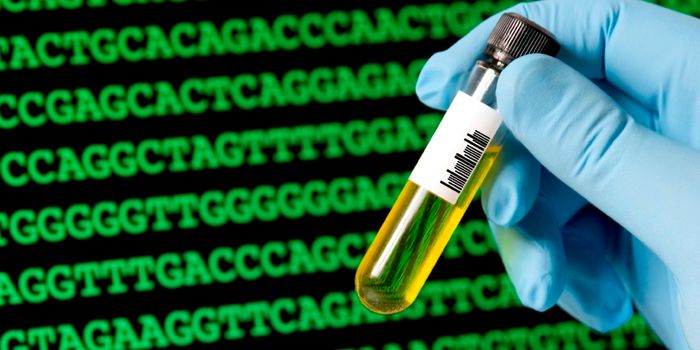 New Details on the Bacterial Immune System, CRISPR/Cas, Revealed