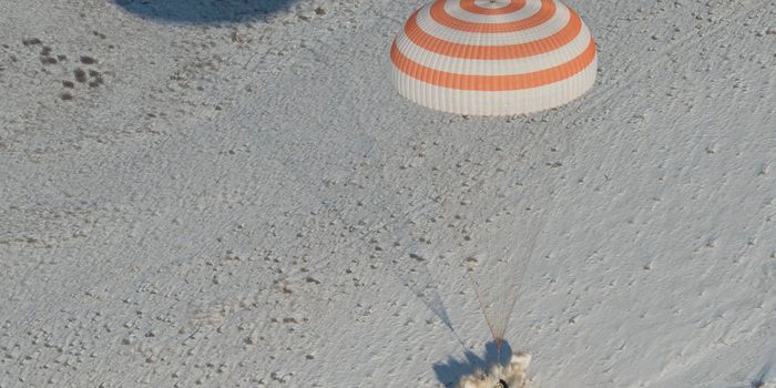 ISS Crew Count Slashed in Half As Three Space Men Return Home