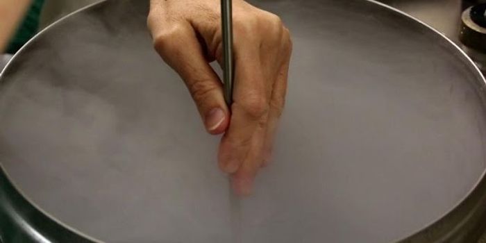 Freezing Eggs to Pause the Biological Clock