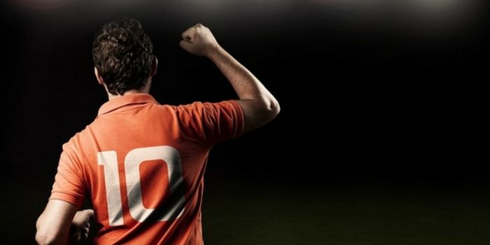 The Brain Wiring Behind Social Dominance