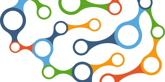 CB1 and CB2: Different Cannabinoid Receptors in the Brain