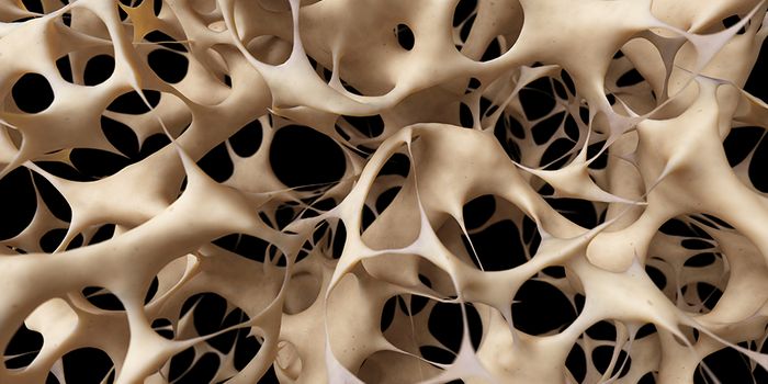 Cellular Mechanism Inspires Bone-Forming Drugs