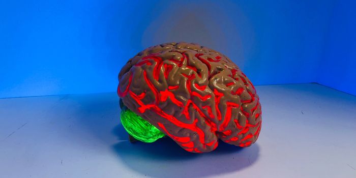 What happens in the Brain in Cannabis Cravers?