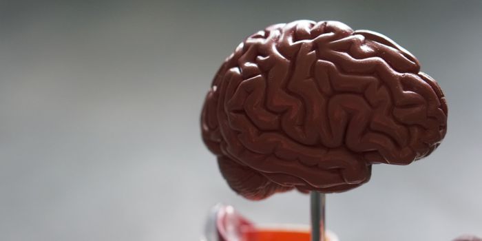 Peptide-Based Therapeutics Advances Alzheimer Disease Research