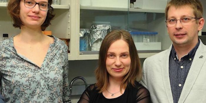 A New Type of Antibiotic has Been Found