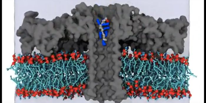 Using Nanopores to Sequence Proteins