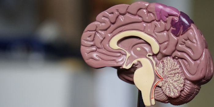 CBG and CBD Cannabinoids Show Worth in Thwarting Glioblastoma Tumors