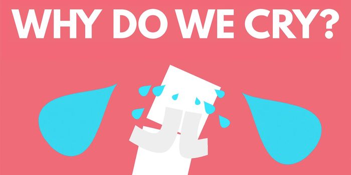 The Biological Purposes of Tears