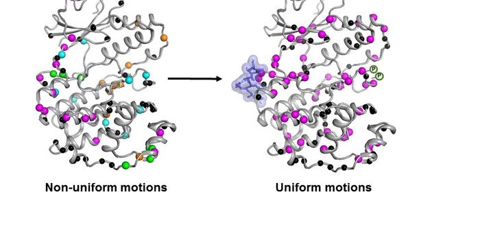 Targeting Protein Kinases for Anti-Cancer Drug Development