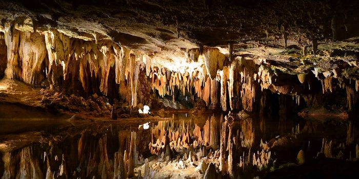 Are Australia's caves growing?