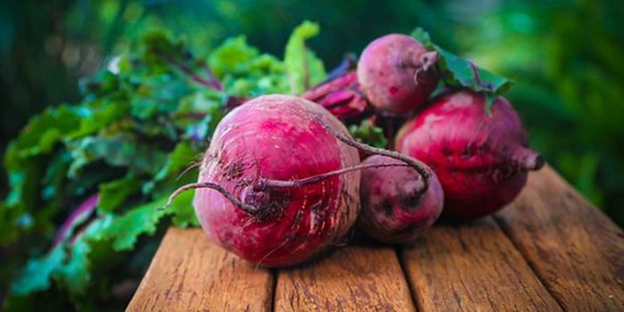 Compound in Beetroot Juice Significantly Improves Muscle Force