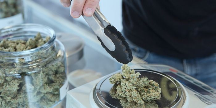 Marijuana Legalization Link to Fewer Workers' Compensation Claims