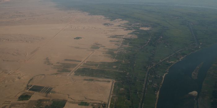 The Global Freshwater Cycle Has Been Significantly Disrupted