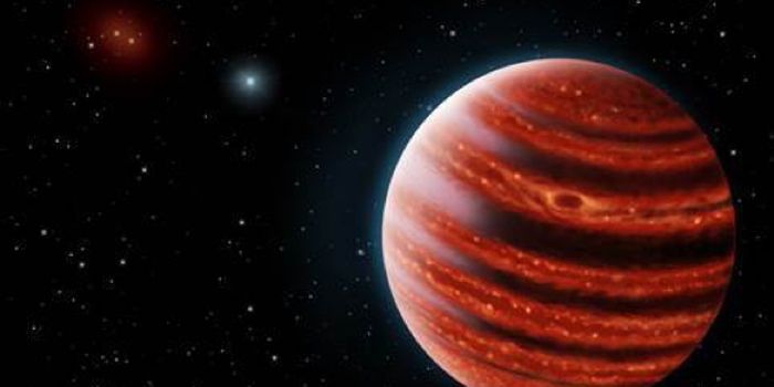 Jupiter-Like Exoplanet Discovered 100 Light Years Away