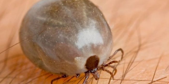 Man's death leads to the discovery of a new virus