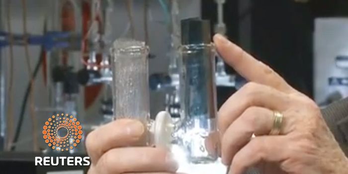 Scientists look to the ocean as fuel of the future