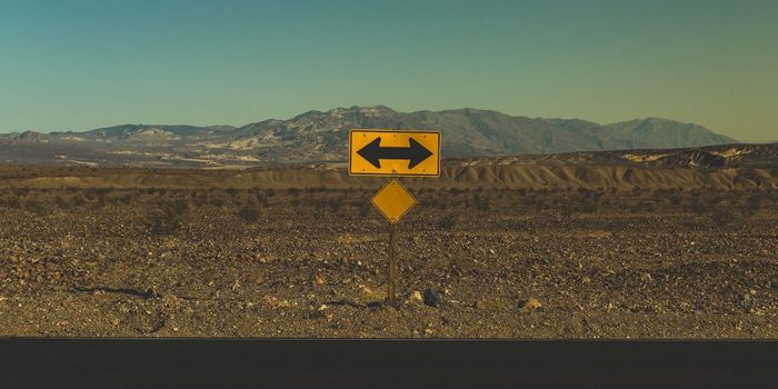 Messenger Substances in Brain Affect Strategic Decision Making