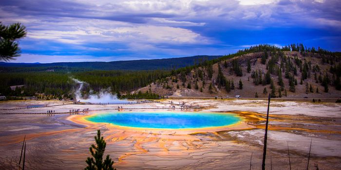 Yellowstone Visitor Issued Fine for Collecting Spring Samples