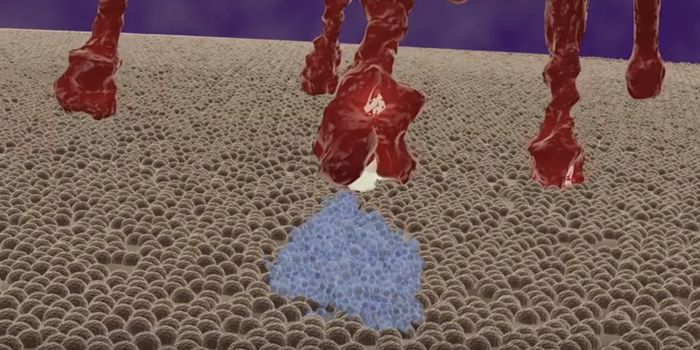 A Supercomputer Aids in the Hunt for COVID-19 Therapeutics